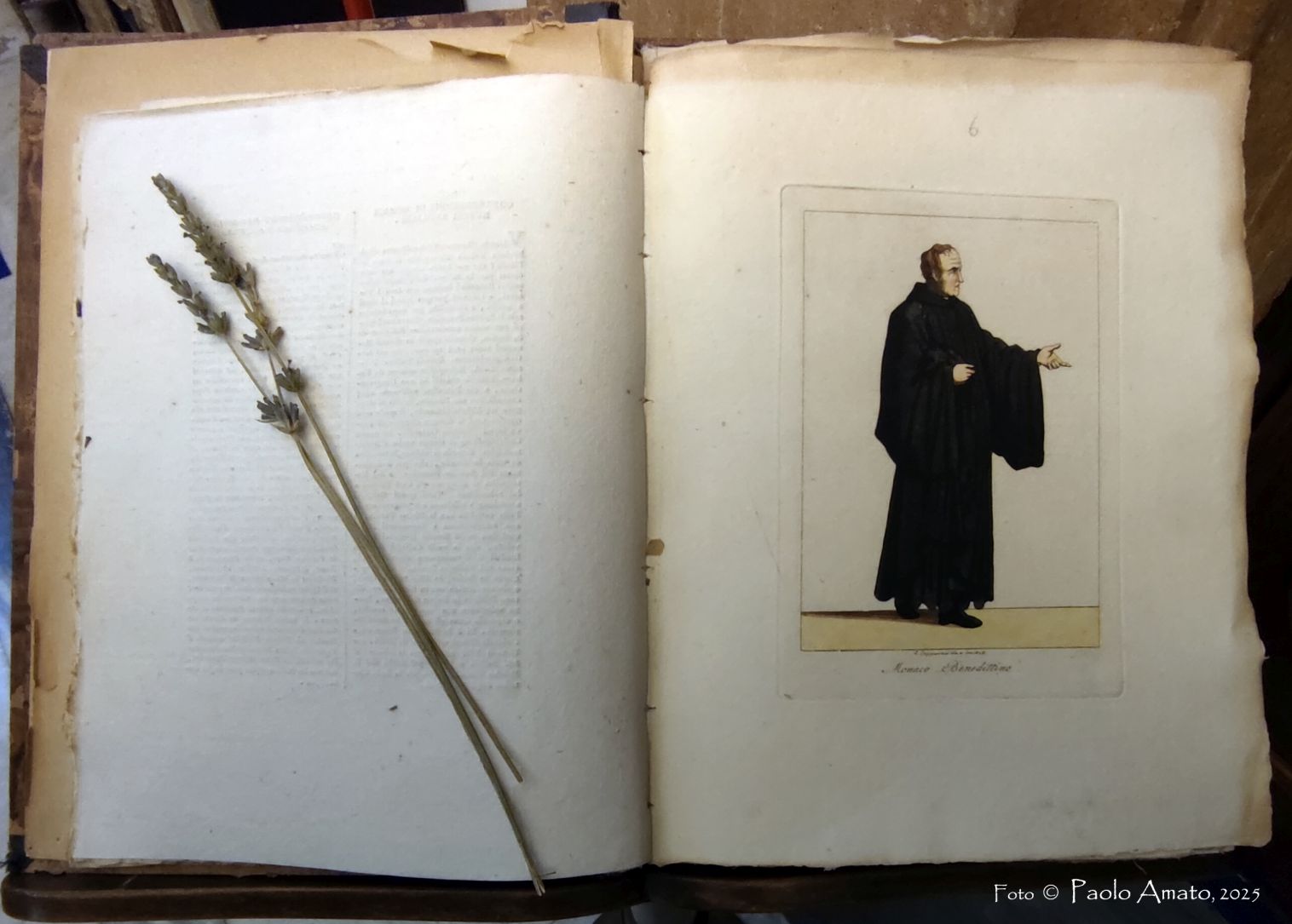Visita alla Biblioteca Ursino Recupero